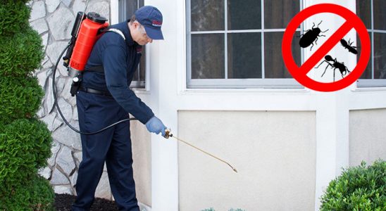 Yedisu Bit İlaçlama böcek ilaçlama ve haşere kontrolü — ilaclama-tr.com